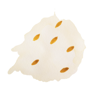 Crema de mel amb pinyons