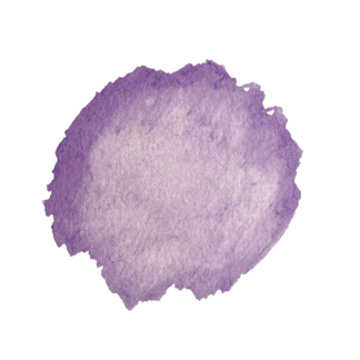 grossella negra amb violeta